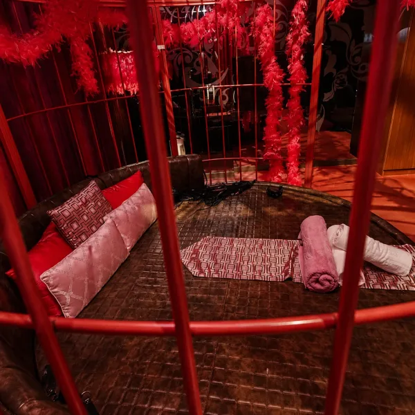 Red-lit bed behind metal rails and a sheer canopy